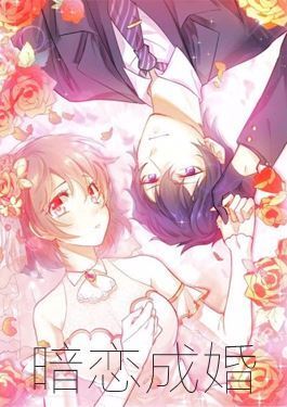 暗恋成婚(真人版)